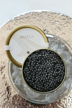 Black Pearl Beluga Caviar