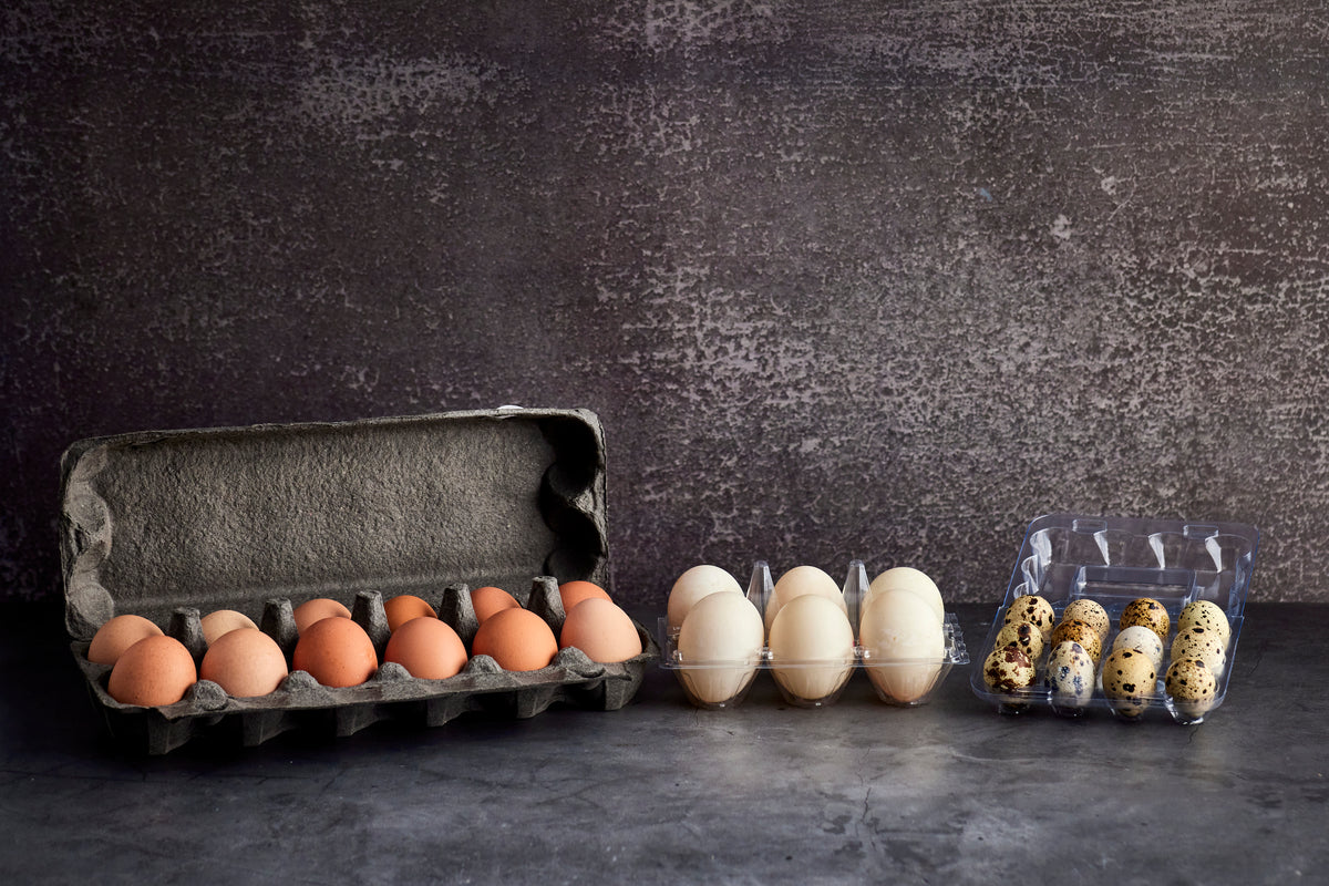 Eggs