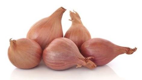 Brown Shallot 3 Pieces